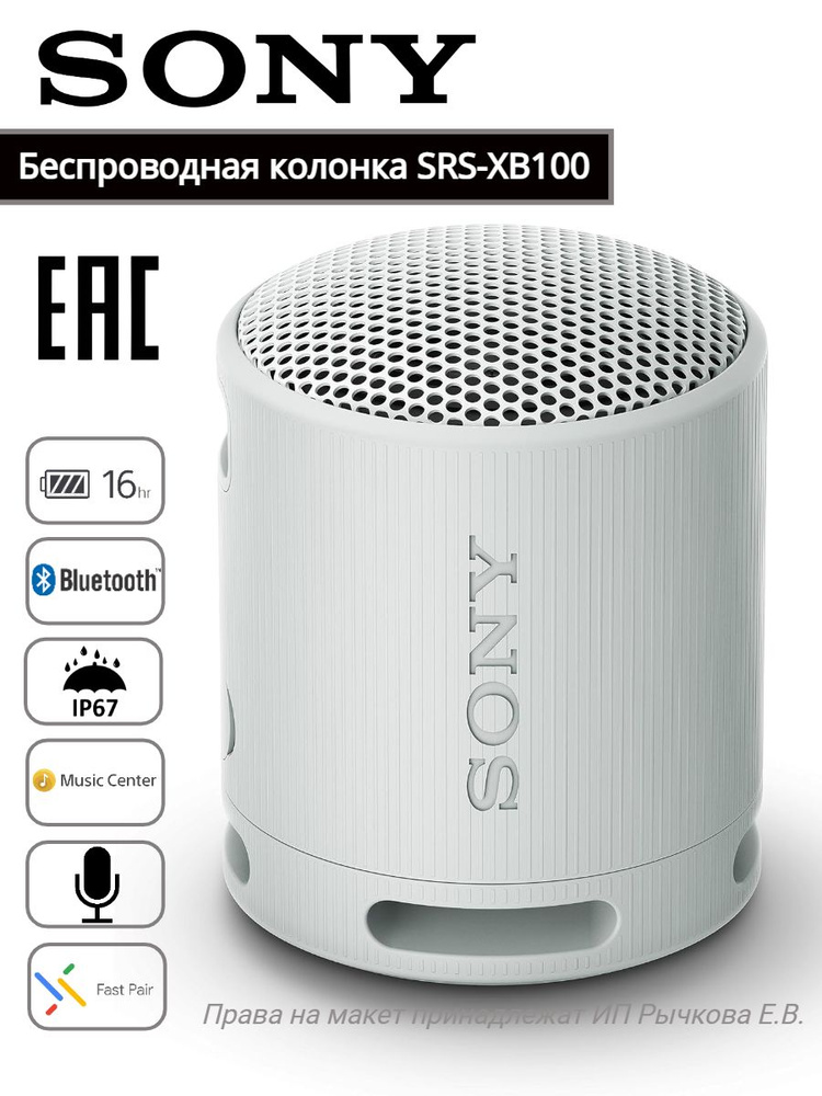 Беспроводная колонка SRS-XB100 #1