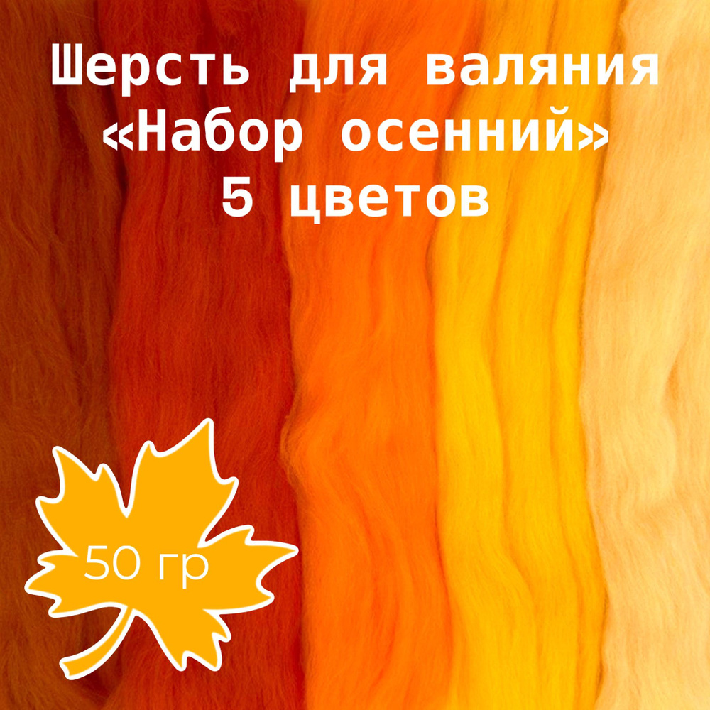 Шерсть натуральная для сухого и мокрого валяния "Набор осенний" 50гр. 5 цветов.  #1