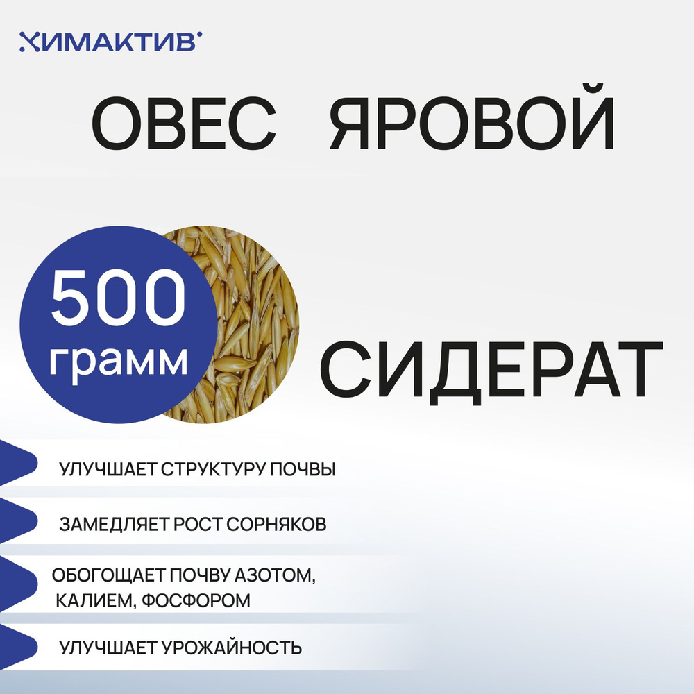 Овёс Яровой семена (500 грамм) сидерат, удобрение для растений  #1