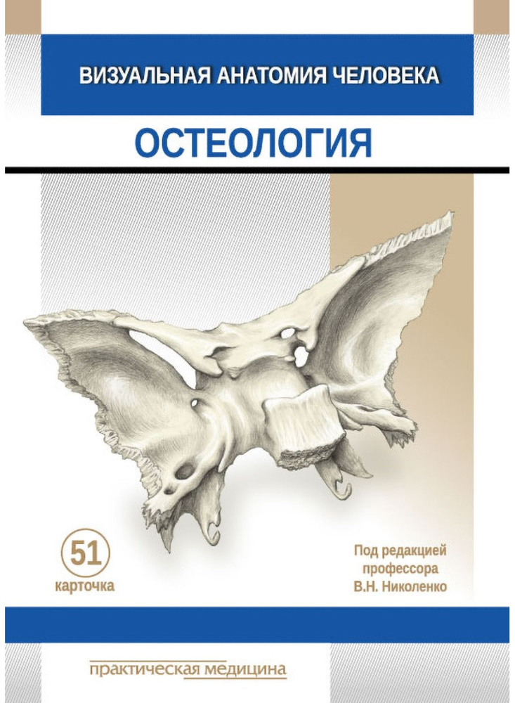 Анатомия человека Остеология карточки. 51 карточка. Визуальная анатомия человека. | Варенцов В., Николенко #1