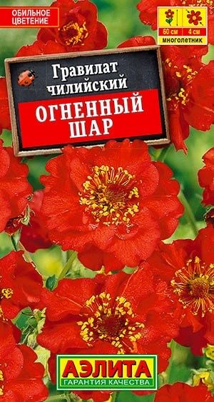 ГРАВИЛАТ ОГНЕННЫЙ ШАР. Семена. Яркоцветущий, корневищный, травянистый многолетник.  #1