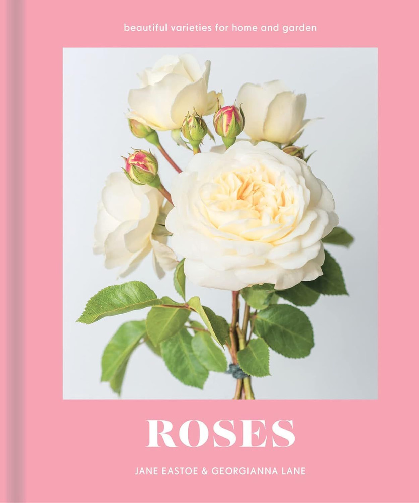 Roses: Beautiful varieties for home and garden #1