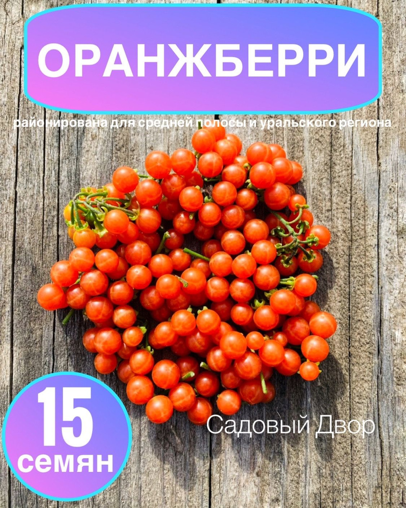 ОранжБерри (Оранжевая Черника), семена 15 шт, + рекомендация по агротехнике  #1