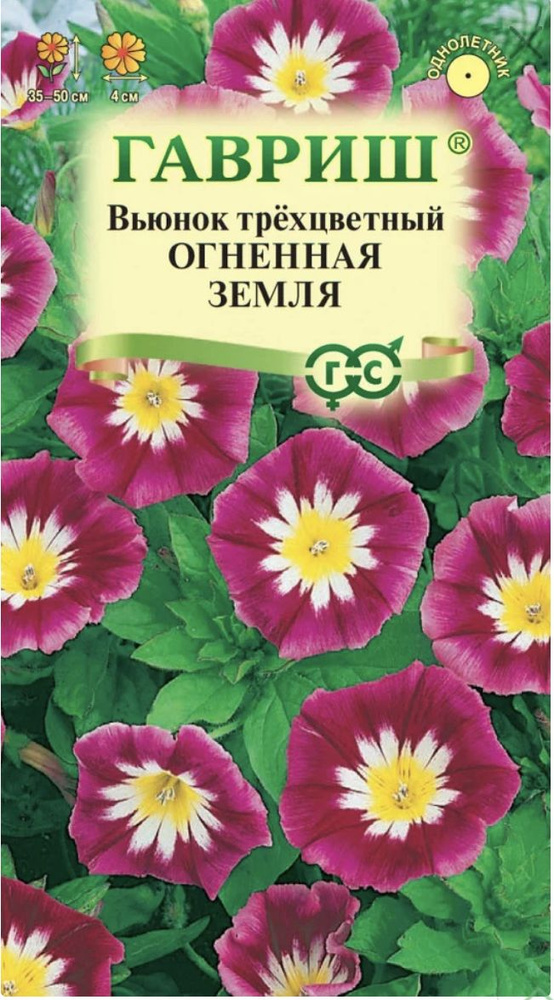 Вьюнок трехцветный Огненная Земля, 1 пакет, семена 0,5 г, Гавриш  #1