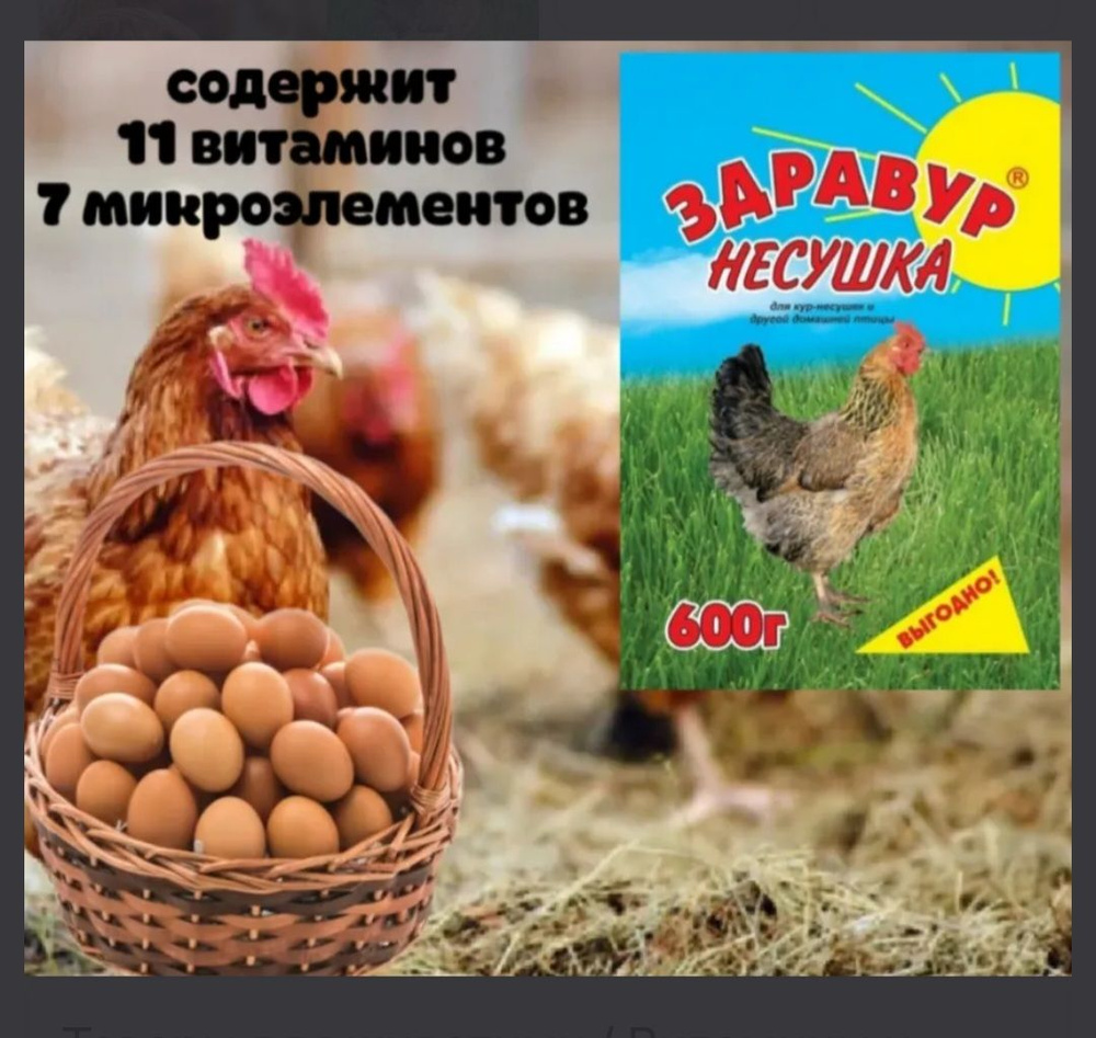 Здравур Несушка 600гр для кур- несушек и др. домашней птицы  #1