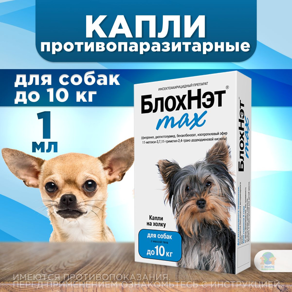 Капли БлохНэт MAX ( Астрафарм ) на холку для собак до 10 кг от блох, вшей, власоедов, иксодовых и саркоптозных #1