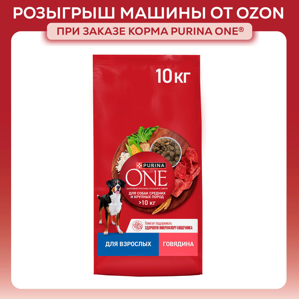 Сухой корм для собак Purina ONE для средних и крупных пород, с говядиной и рисом, 10 кг  #1