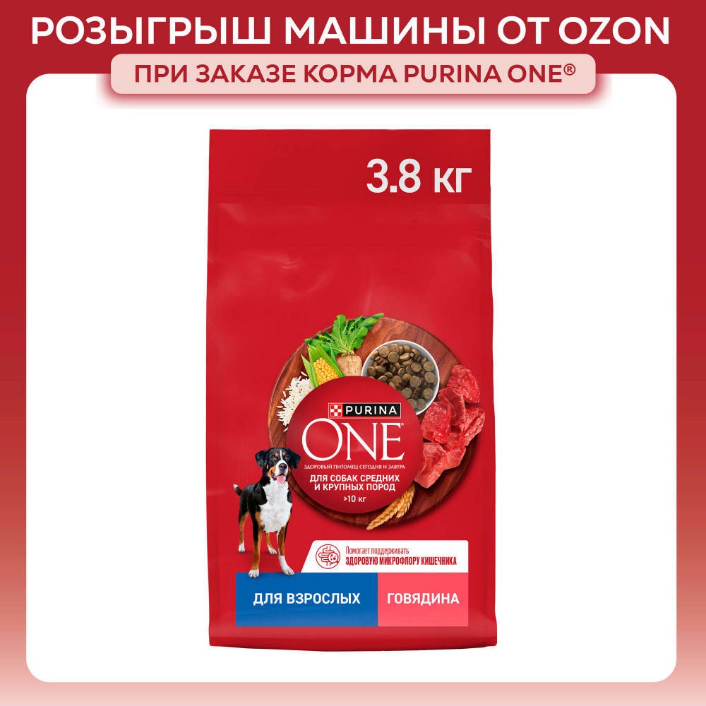 Сухой корм для собак Purina ONE для средних и крупных пород, с говядиной и рисом, 3,8 кг  #1