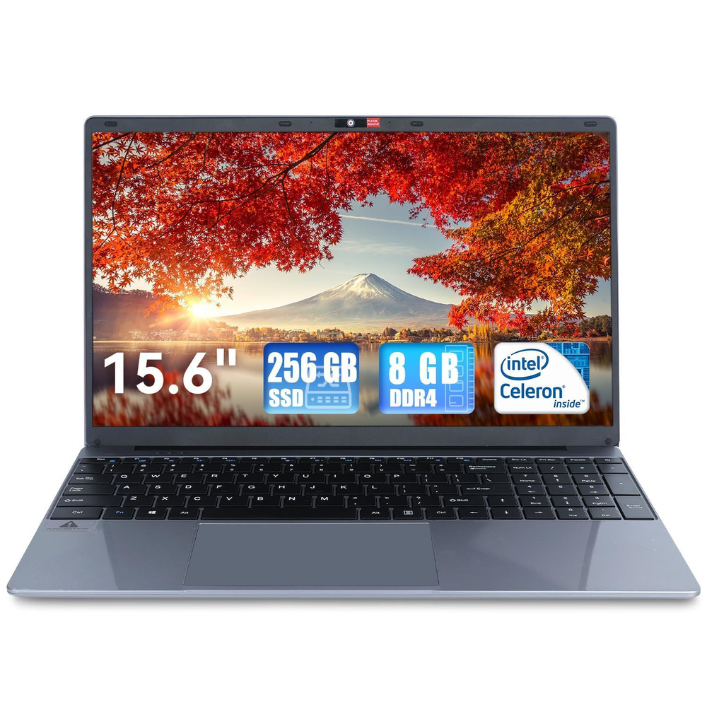 15,6-дюймовый ноутбук, 1366 * 768 IPS дисплей, процессоры Intel Celeron N5095, 8GB DDR4 256GB SSD, большая #1