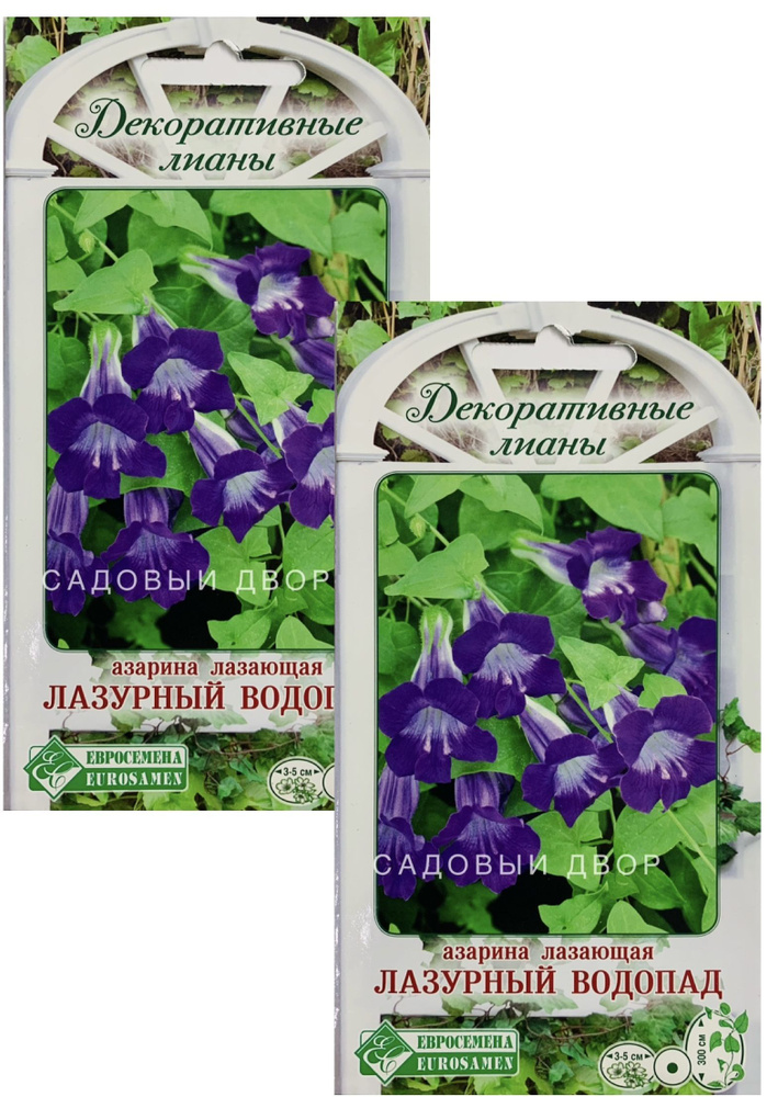 Азарина лазающая Лазурный Водопад, 2 пакета, семена по 5 шт, Евросемена  #1