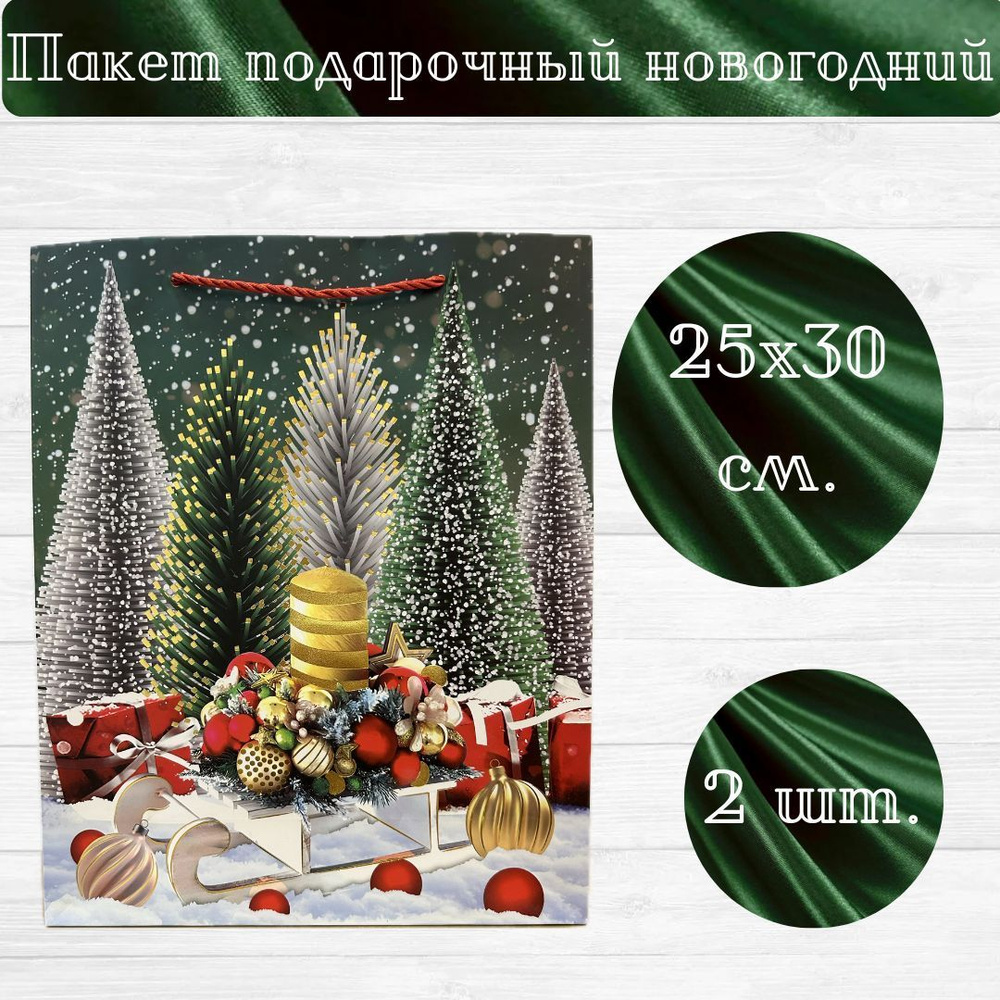 OMG Gift Пакет подарочный 25х30 см,  #1