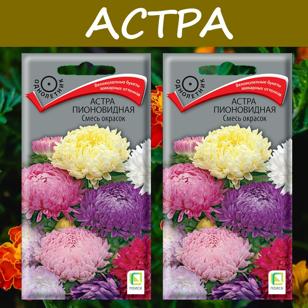 Астра пионовидная Смесь окрасок, 2 упаковки, "Великолепная астра для срезки"  #1