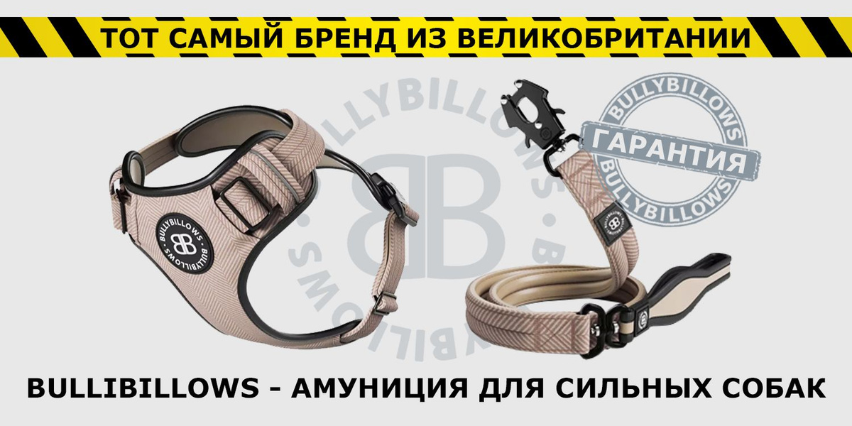 Шлейка Premium Dog Harness v2.0 BullyBillows