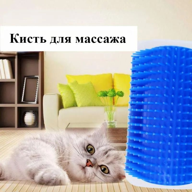 массаж котенка