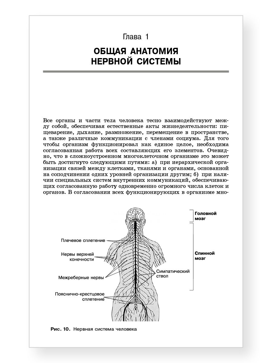 Анатомия нервной системы : учебное пособие для студентов. 4-е изд. | Anatomy of the Nervous System: Textbook, 4th Edition - Ozon image 6