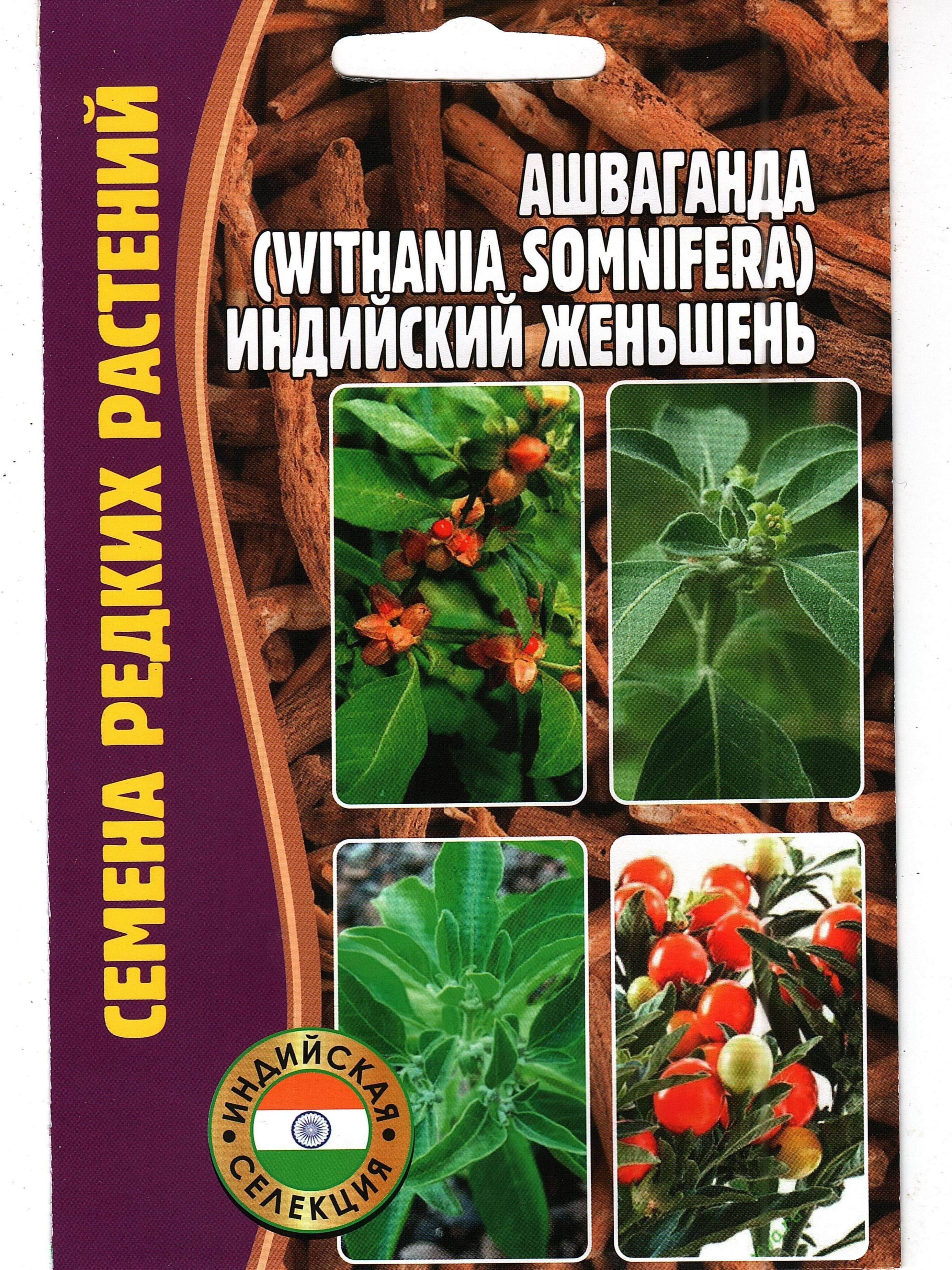 Ашваганда/Withaniasomnifera/Индийскийженьшень(1уп:5семян)
