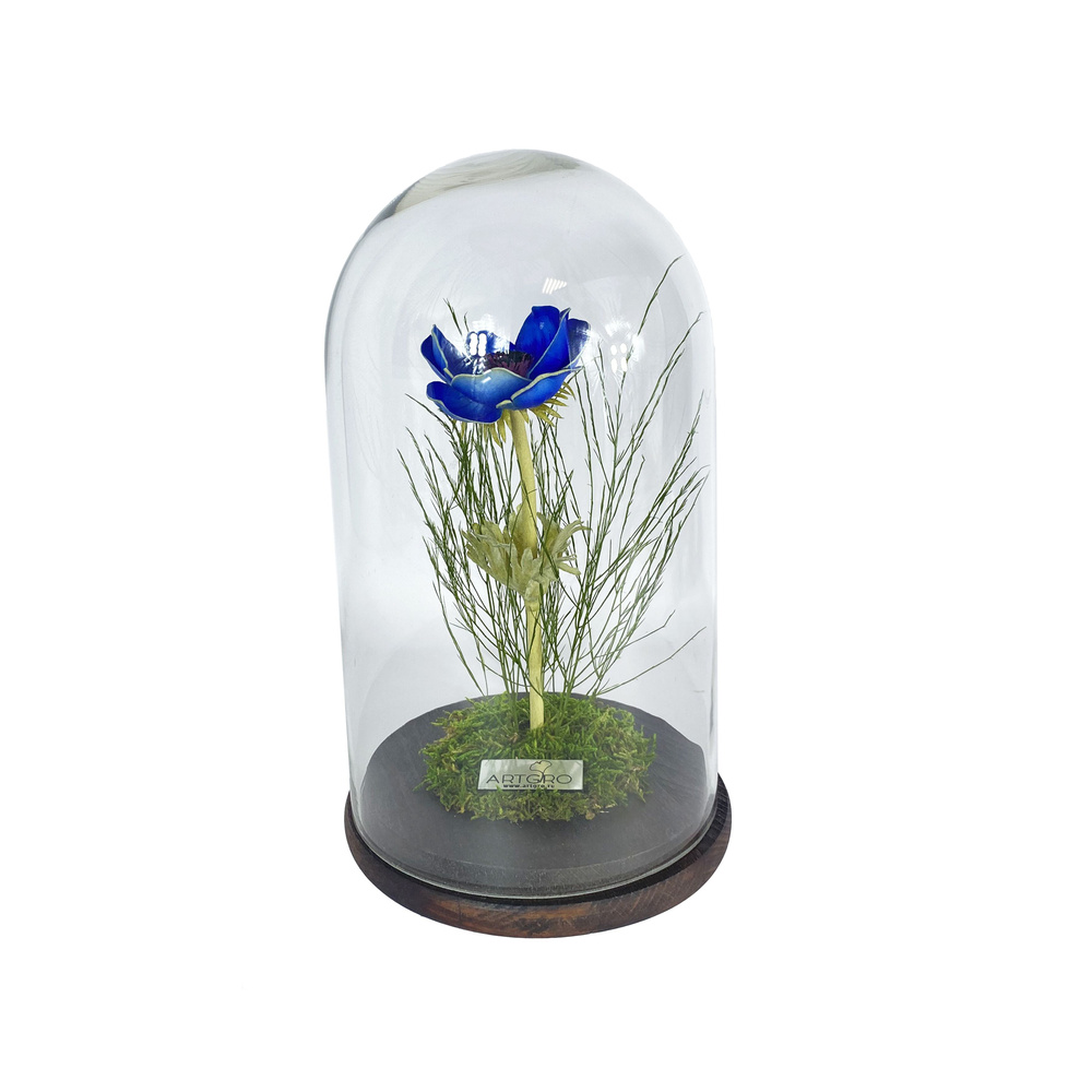 ARTGRO Стабилизированные цветы в стекле Мак, 26 см, 800 гр, 1 шт  #1