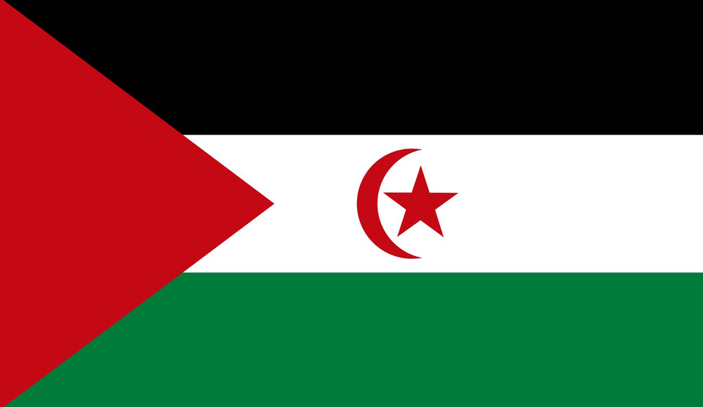 Двусторонний флаг Западной Сахары 40х60 см на лодку, катер или яхту с люверсами  #1