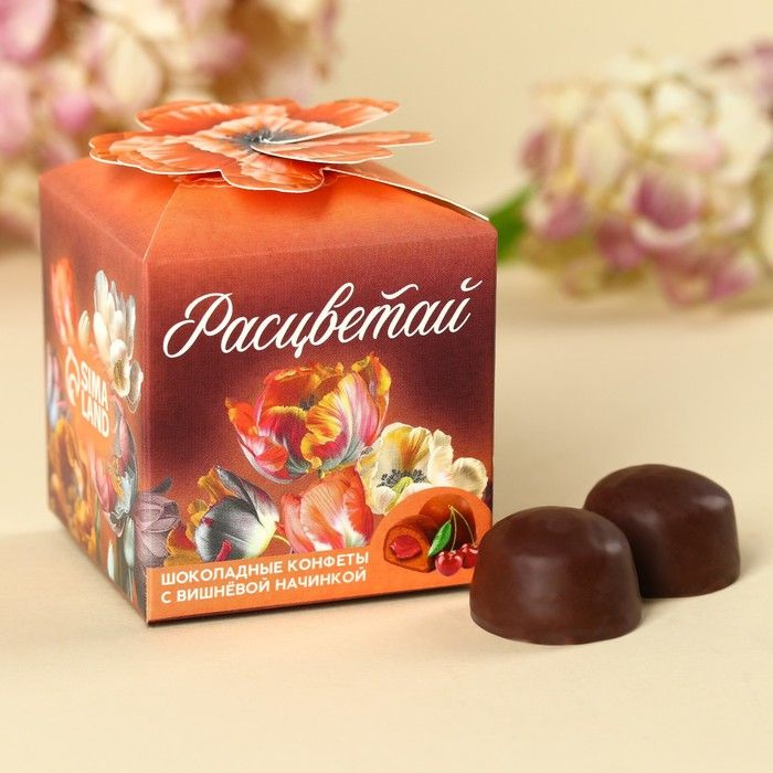 Конфеты шоколадные "Расцветай", вкус: вишня, 60 г. / 10055128 #1
