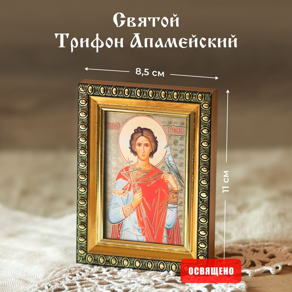 Икона освященная "Святой Трифон Апамейскии" в раме 8х11 Духовный Наставник  #1