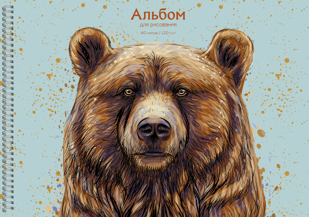 Альбом для рисования Медведь, 40 листов #1