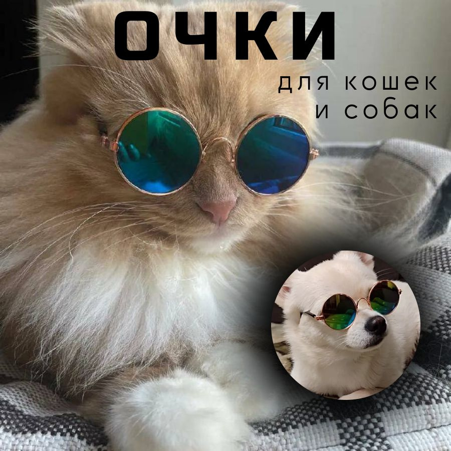Солнцезащитные очки для кошек, для собак, для животных, очки для животных, для питомцев  #1