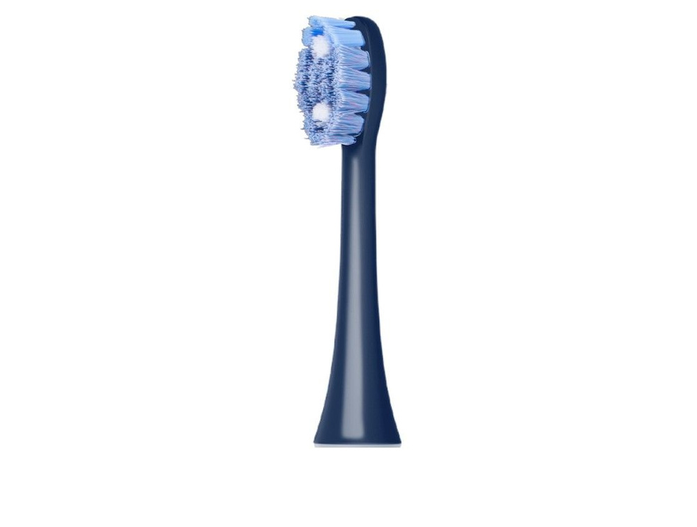 Набор сменных насадок для зубной щетки REDMOND N4704 (синий) #1
