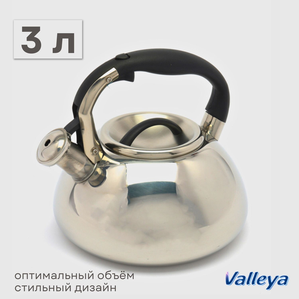 Чайник для плиты со свистком, из нержавеющей стали "Valleya", 3 литра, для всех видов плит, подарок на #1