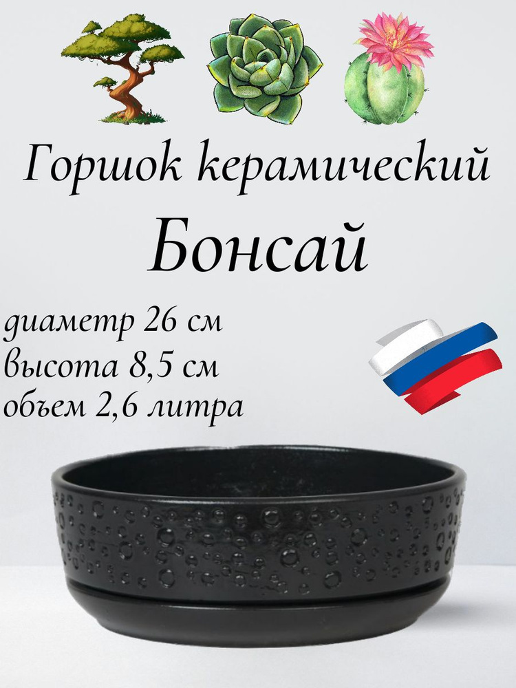 Керамический горшок "Бонсай" для бонсай, кактусов и суккулентов, диаметр 26 см, высота 8,5 см, черный #1