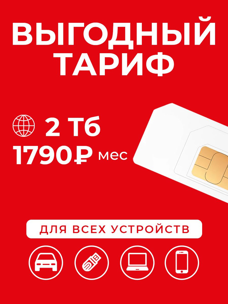 SIM-карта Сим-карта интернет 2 Тб за 1790 р/мес #1