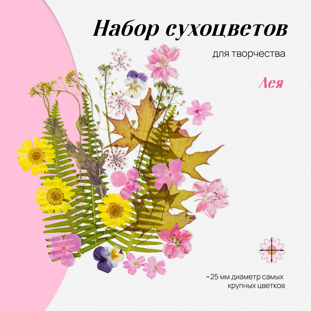Набор натуральных сухоцветов цветов для творчества, декора, 28 шт., размер набора - 14*10 см/ сухоцветы #1
