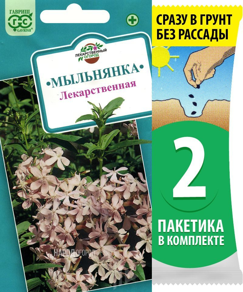 Семена Мыльнянка Лекарственная (мыльный корень), 2 пакетика по 0,5г/70шт  #1