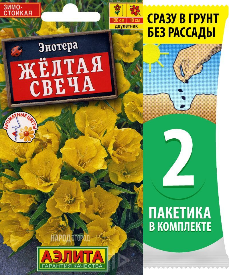 Семена Энотера (ослинник или ночная свеча) Желтая Свеча, 2 пакетика по 0,2г/500шт  #1