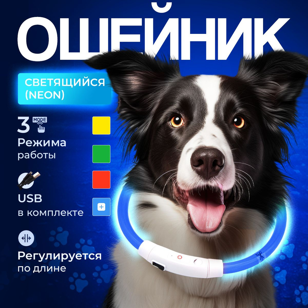Ошейник светящийся светодиодный для собак, 35 см, регулируемый по длине, провод для зарядки в комплекте #1