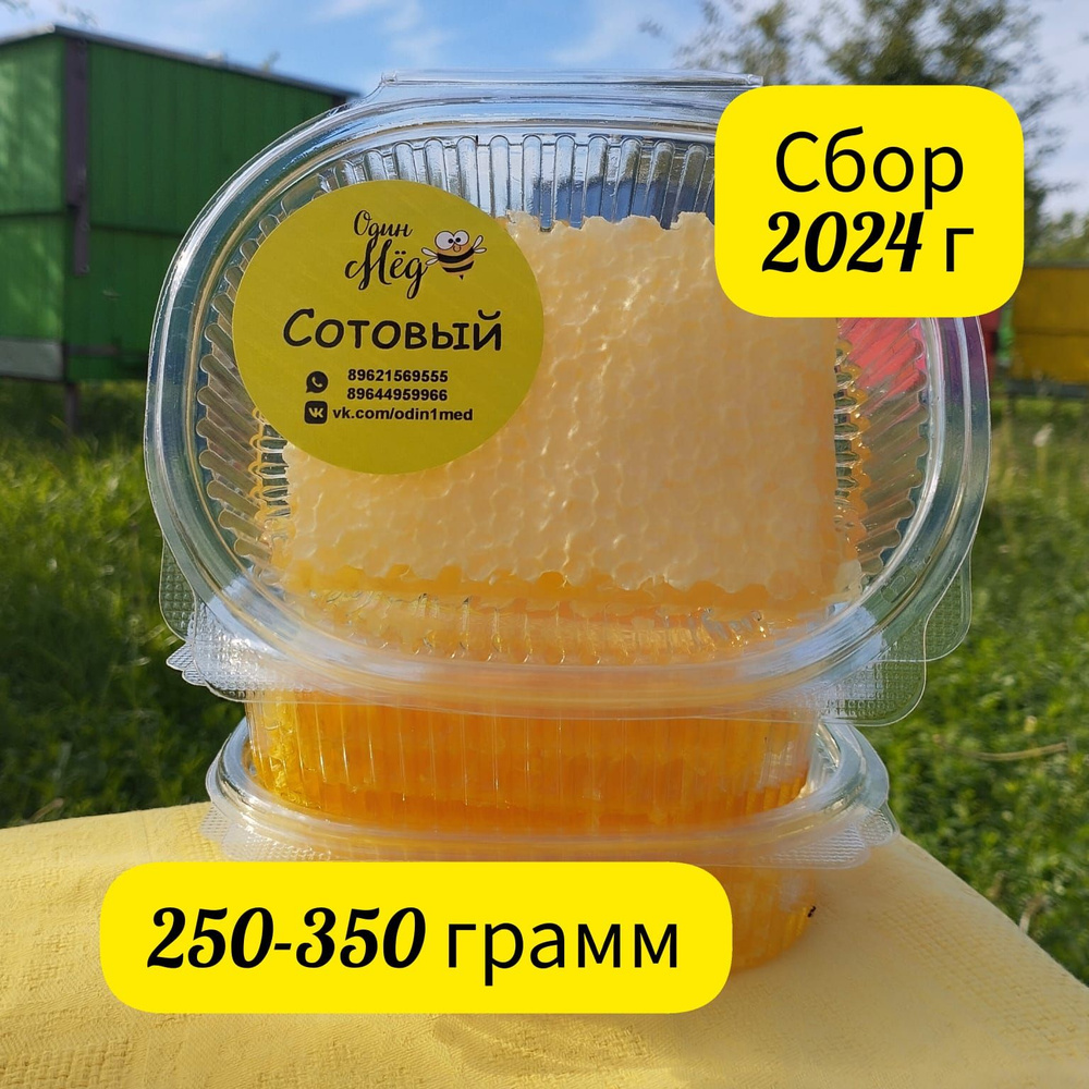 Мёд сотовый, свежий, сбор 2024 года, 250-350 грамм #1