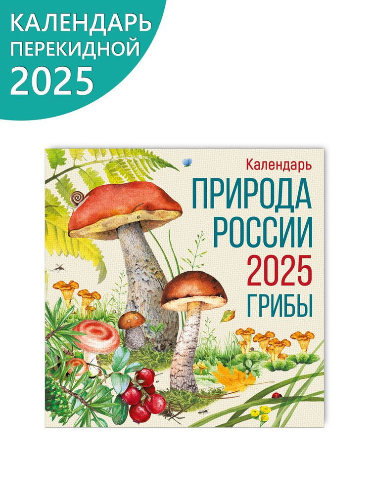 Календарь настенный перекидной 2025 природа гибы #1