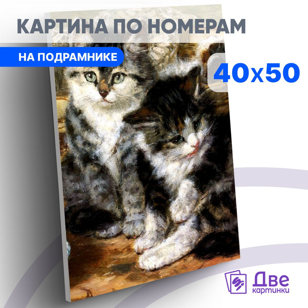 Картина по номерам 40х50 см на подрамнике "Пушистенькие серые котята" DVEKARTINKI  #1