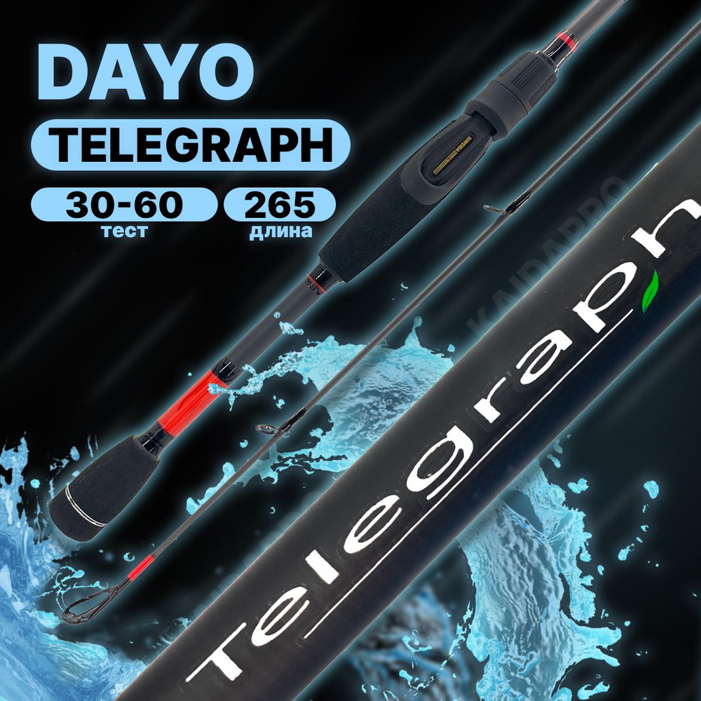 Спиннинг DAYO TELEGRAPH штекерный C.W. 30-60 гр ExtraFast #1