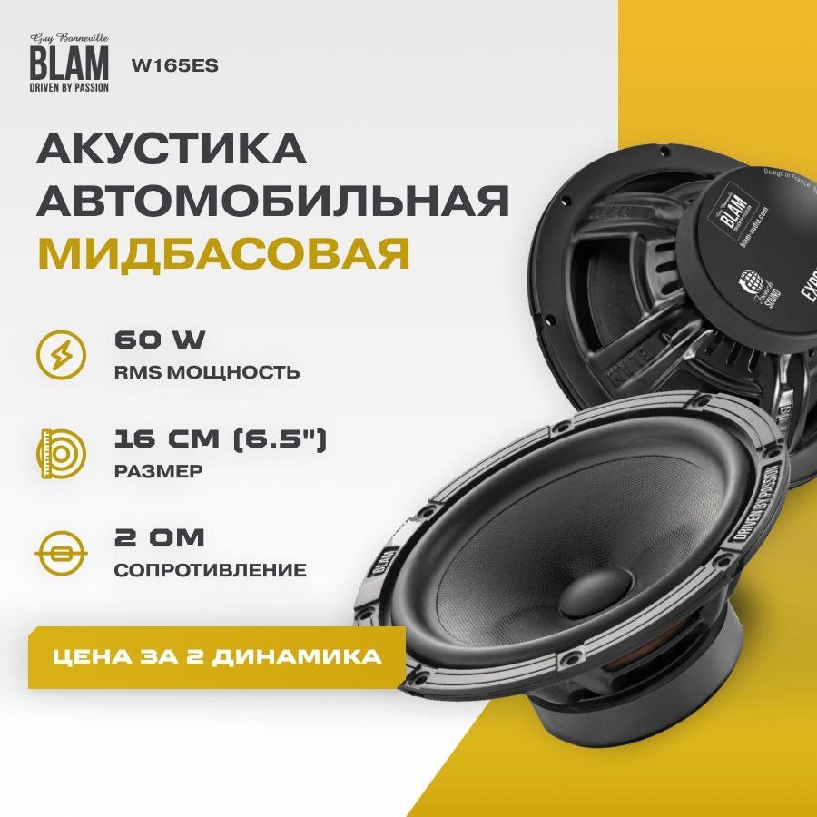 Акустика BLAM W165ES (Мидбасс) #1