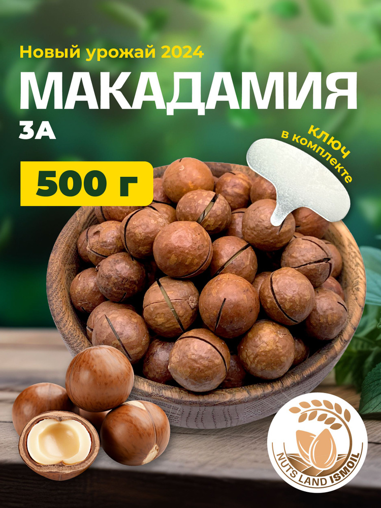 Макадамия орех в скорлупе 500 гр #1