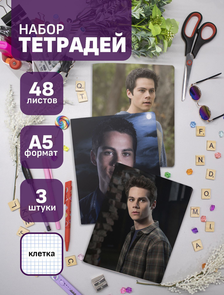 Набор тетрадей (3шт.) 48л. Teen Wolf / Волчонок #1