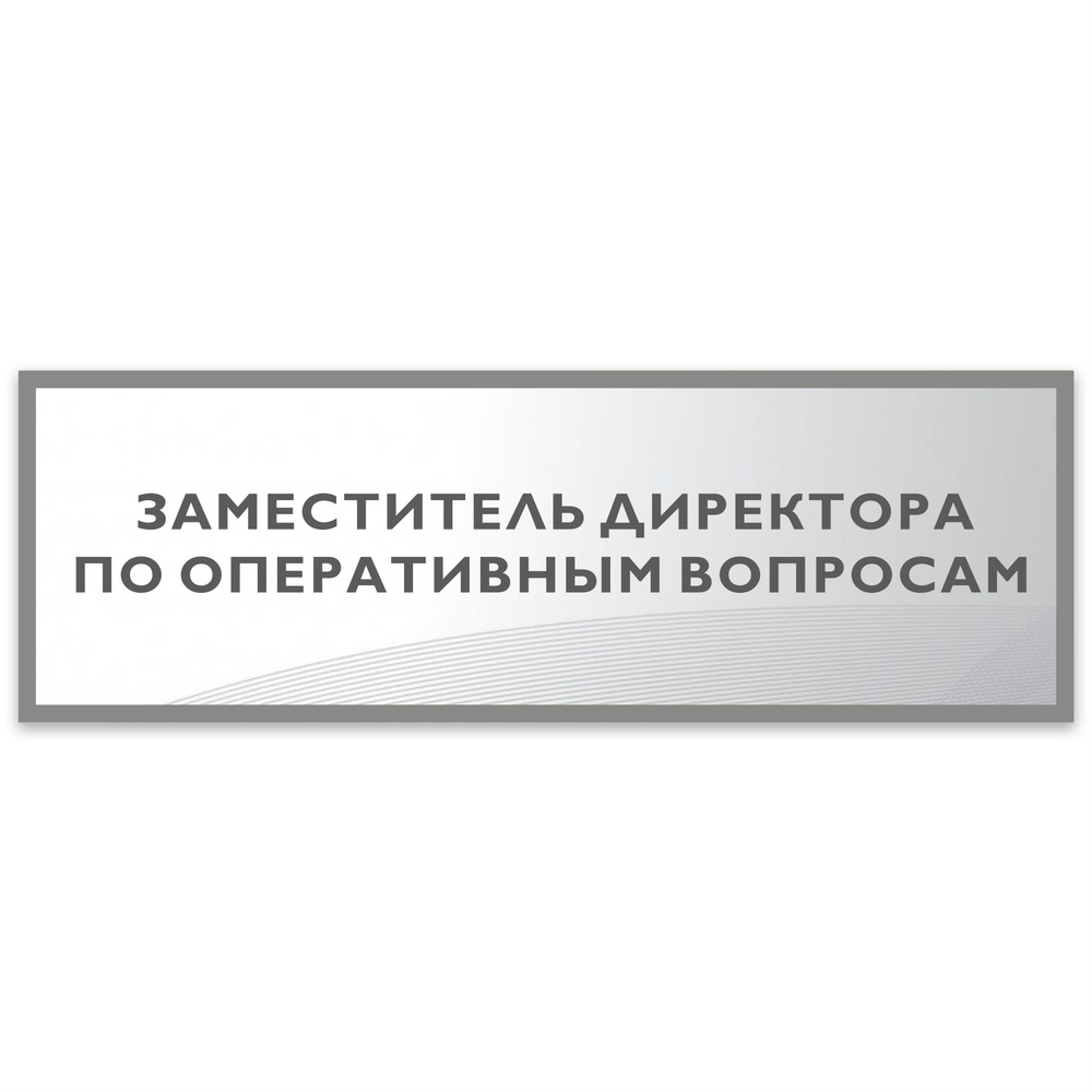 Табличка, Дом стендов, Заместитель директора по оперативным вопросам, 30 см х 10 см, в школу, на дверь #1