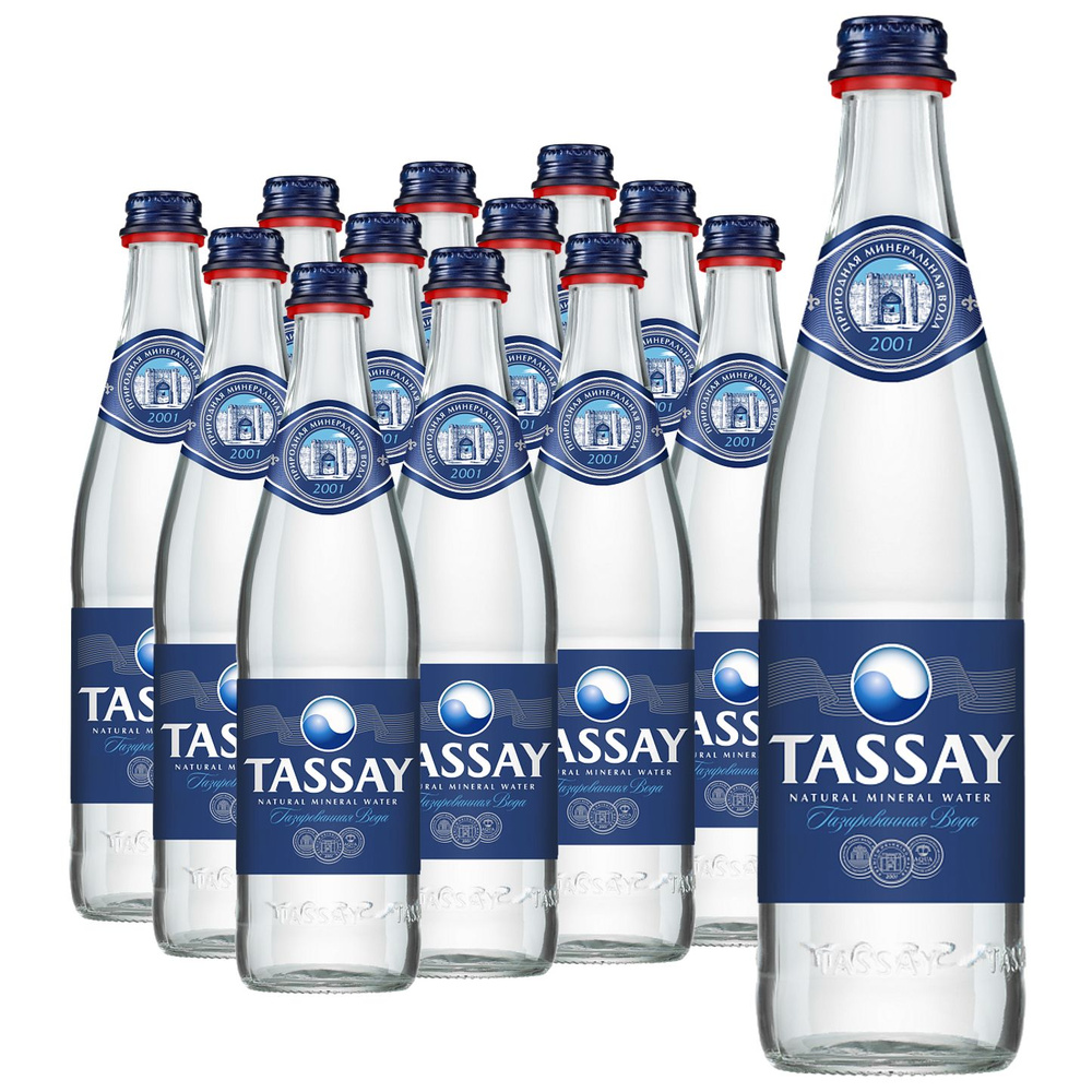 Природная вода Tassay (Тассай) газированная 0,5 л, стекло, 12 шт  #1