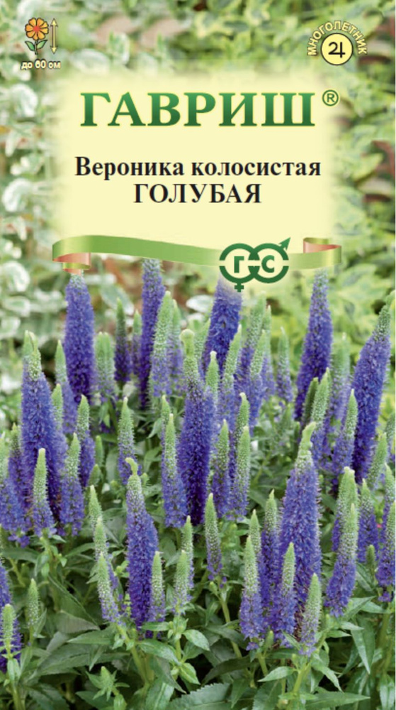 Вероника колосистая Голубая , 1 пакет, семена 0,02 гр, Гавриш  #1