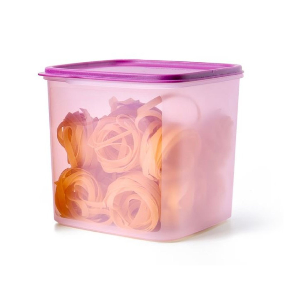 Компактус Организатор (3,9 л) квадратный Tupperware #1