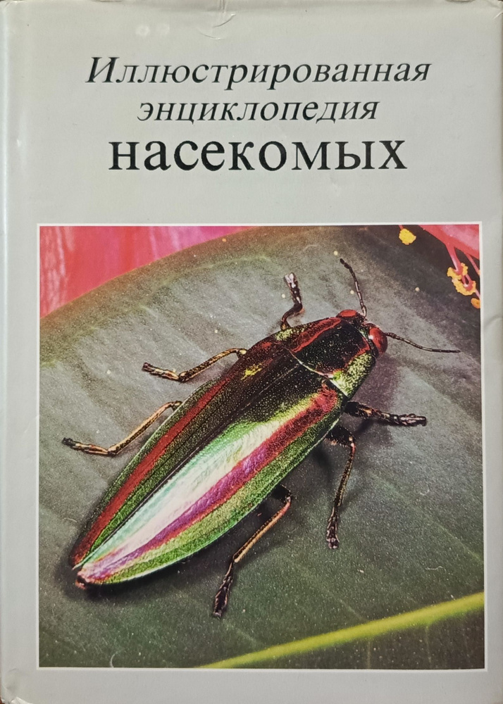 Иллюстрированная энциклопедия насекомых | Станек Вацлав Я.  #1