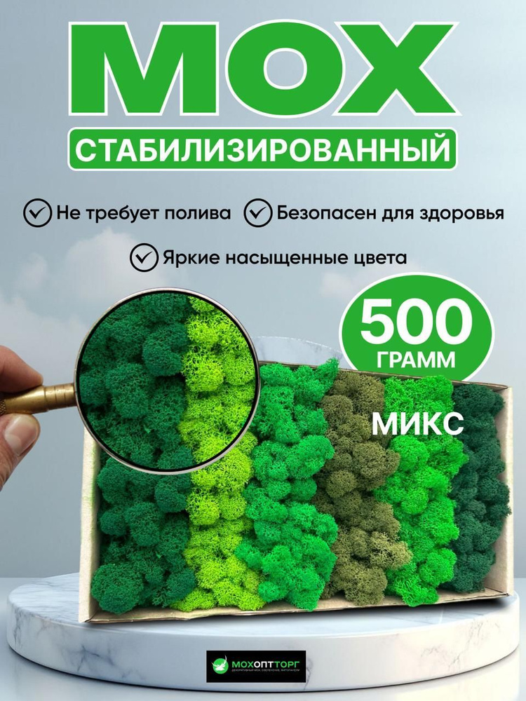 Стабилизированный мох, 500 гр #1