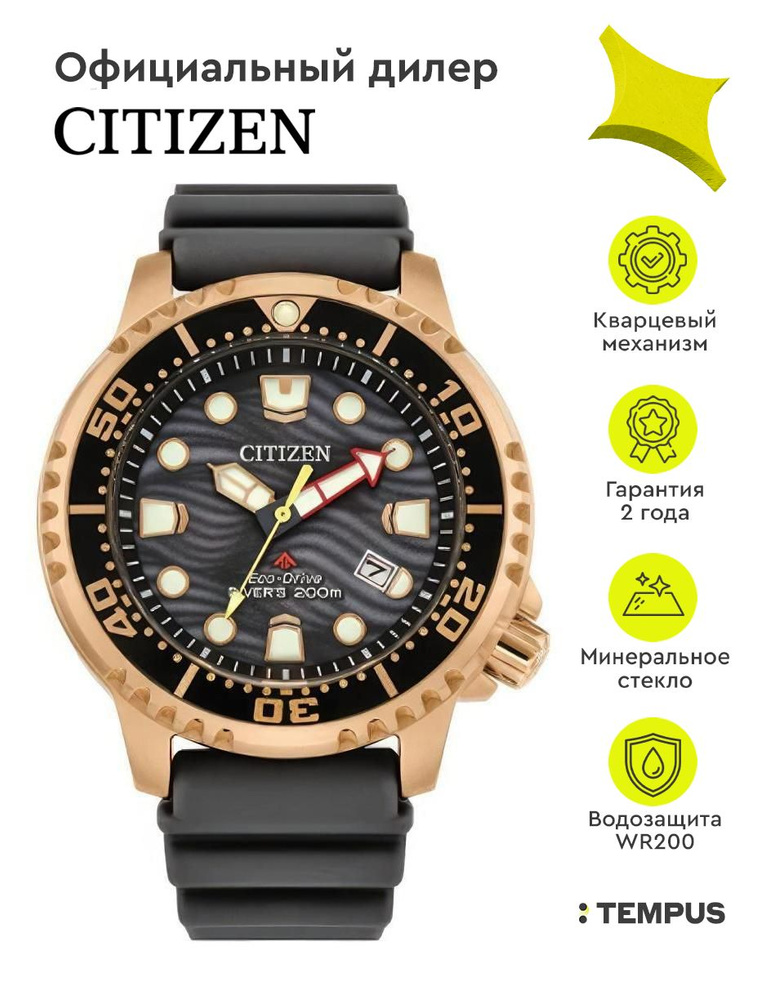 Мужские наручные часы Citizen Eco Drive BN0163-00H #1