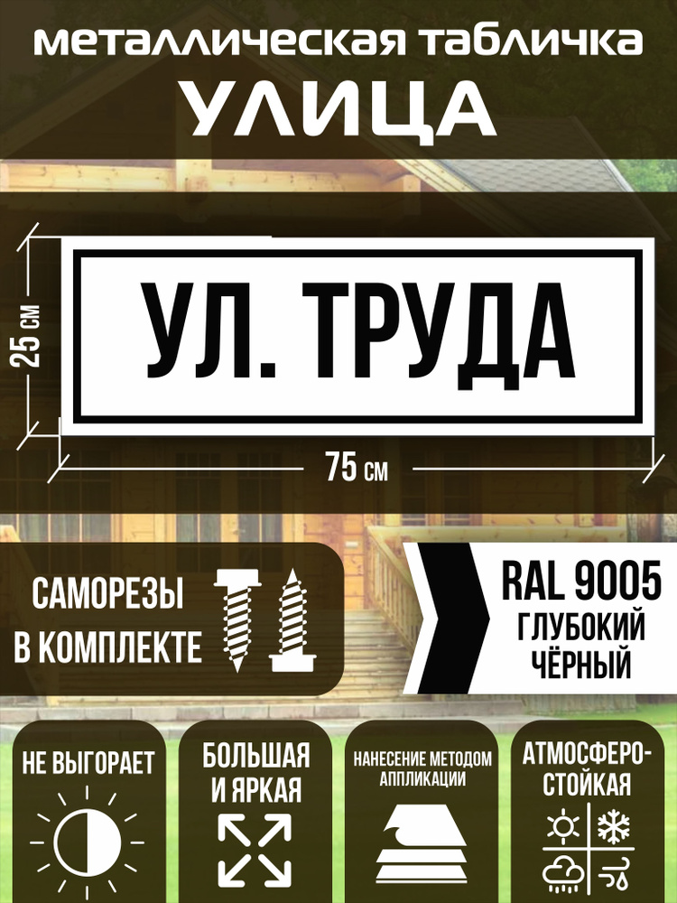 Адресная табличка на дом улица Труда RAL 9005 черная #1