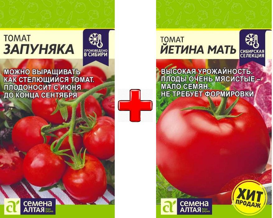 Йетина Мать Семена Алтая Купить
